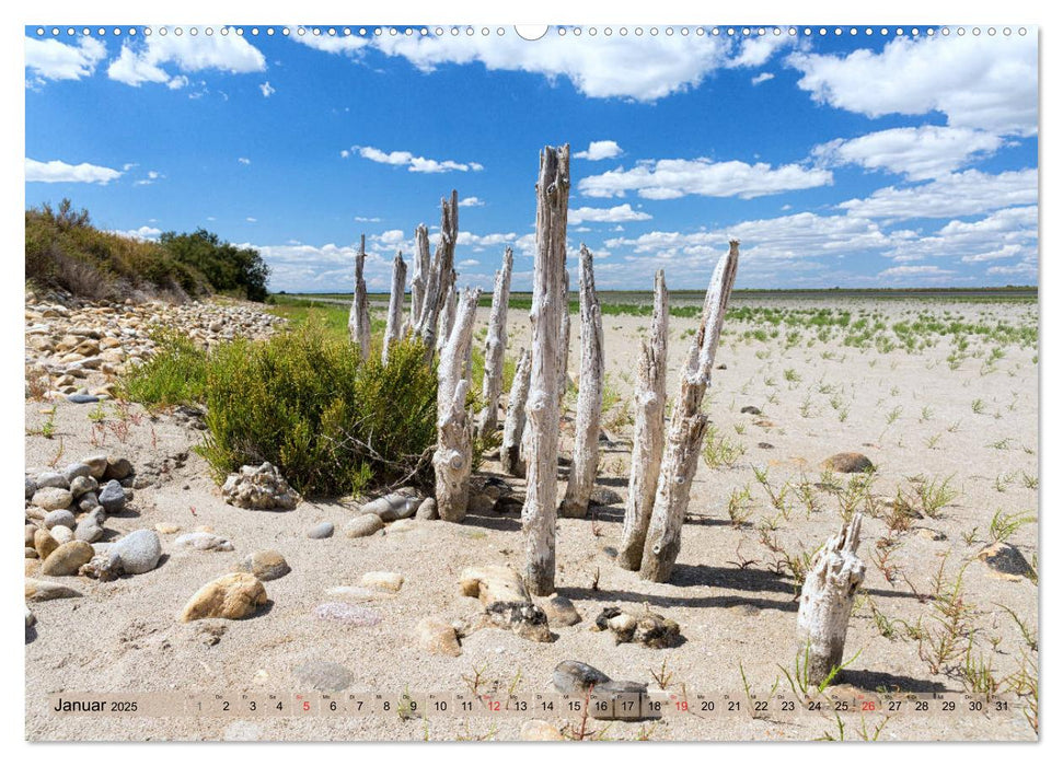 Camargue - Der wilde Süden Frankreichs (CALVENDO Wandkalender 2025)