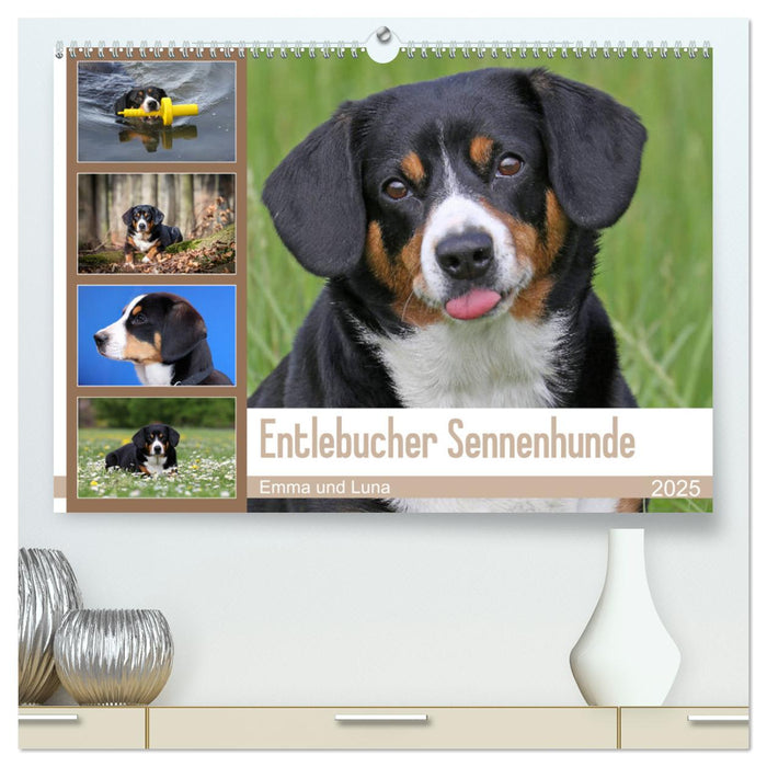 Entlebucher Sennenhunde Emma und Luna (CALVENDO Premium Wandkalender 2025)