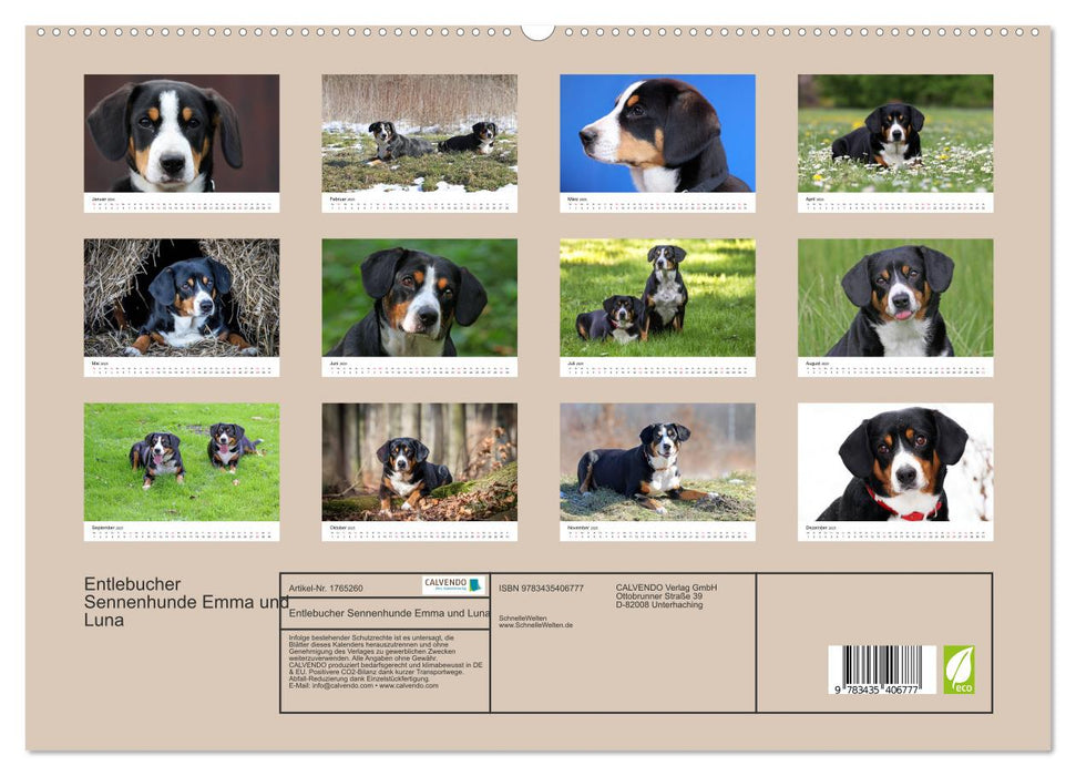 Entlebucher Sennenhunde Emma und Luna (CALVENDO Premium Wandkalender 2025)