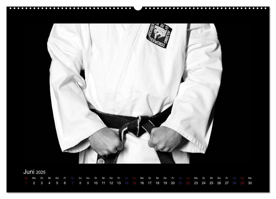 Traditionelles Taekwon-Do (CALVENDO Premium Wandkalender 2025)