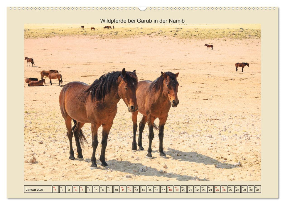 Pferde dieser Welt (CALVENDO Premium Wandkalender 2025)