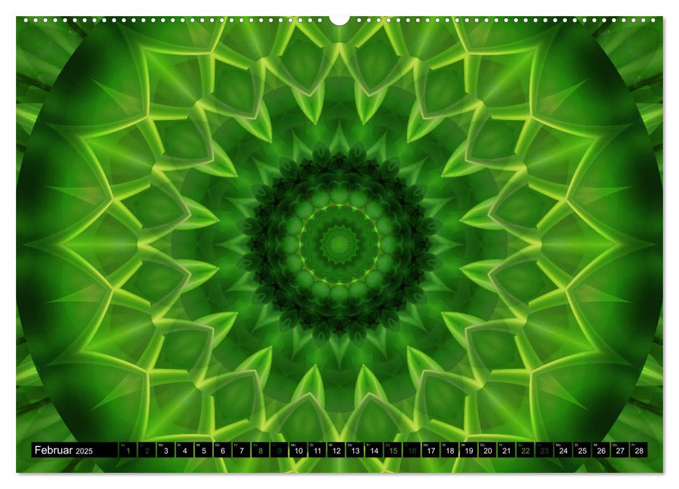 Energie - Mandalas in Grün, Erneuerung durch die Farbe Grün (CALVENDO Premium Wandkalender 2025)