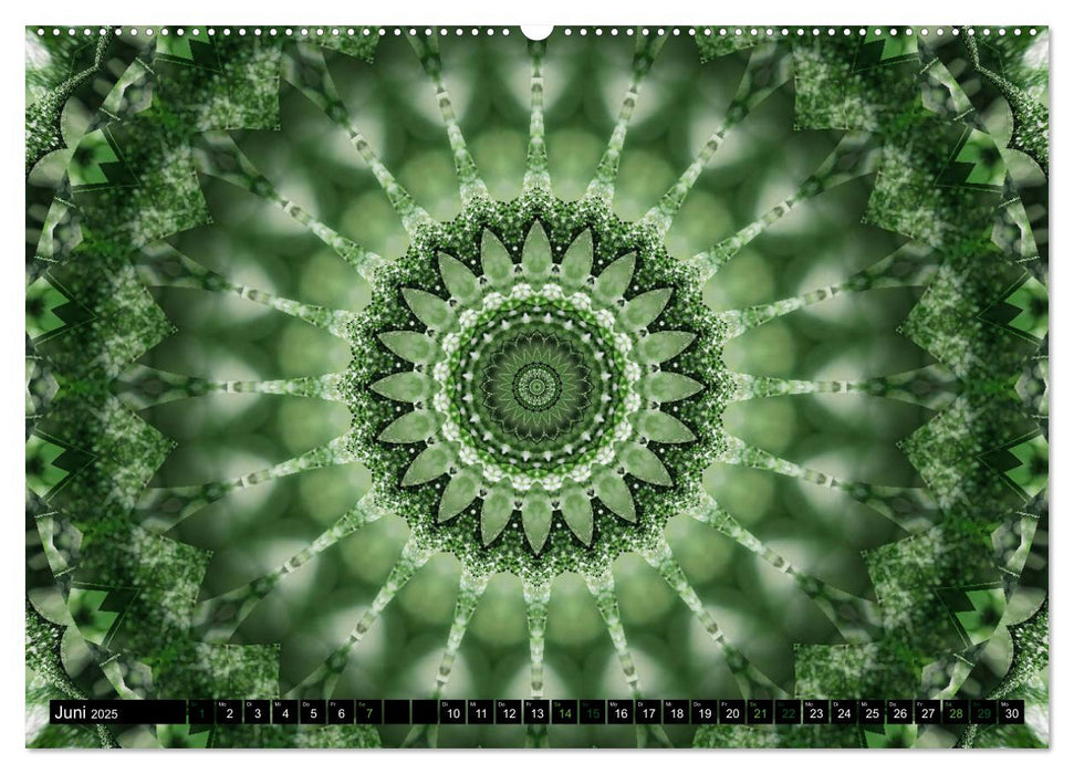 Energie - Mandalas in Grün, Erneuerung durch die Farbe Grün (CALVENDO Premium Wandkalender 2025)