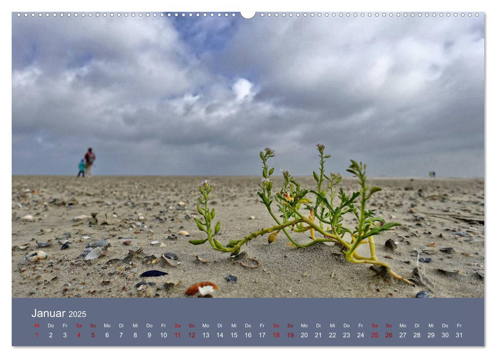 Norderney - Meine Trauminsel (CALVENDO Premium Wandkalender 2025)