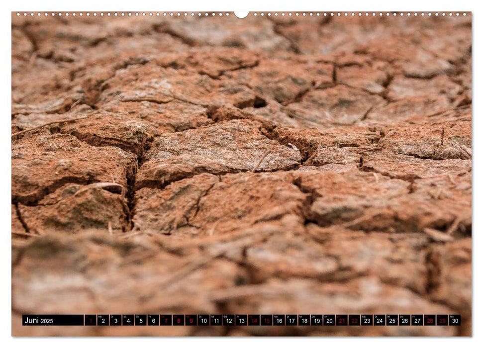 Auf dem Weg nach Texas (CALVENDO Premium Wandkalender 2025)