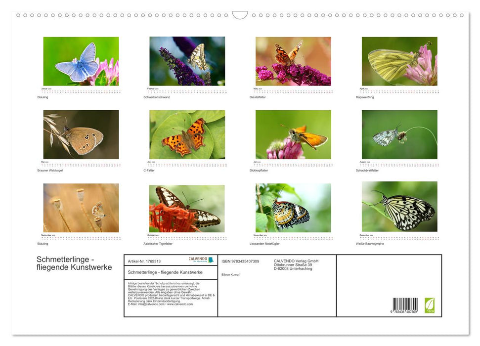 Schmetterlinge - fliegende Kunstwerke (CALVENDO Wandkalender 2025)