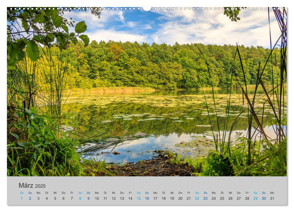 See- und Flußlandschaften in Brandenburg (CALVENDO Premium Wandkalender 2025)