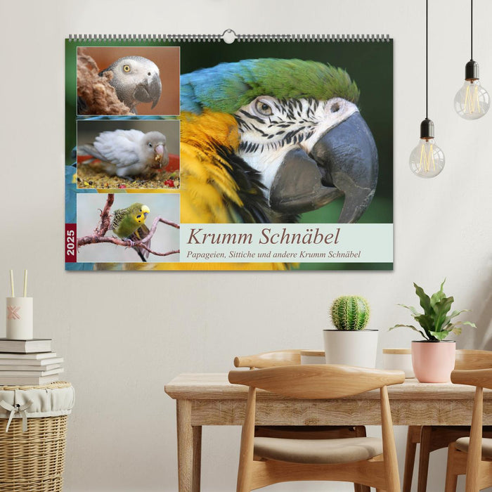 Krumm Schnäbel - Papageien, Sittiche und andere Krumm Schnäbel (CALVENDO Wandkalender 2025)