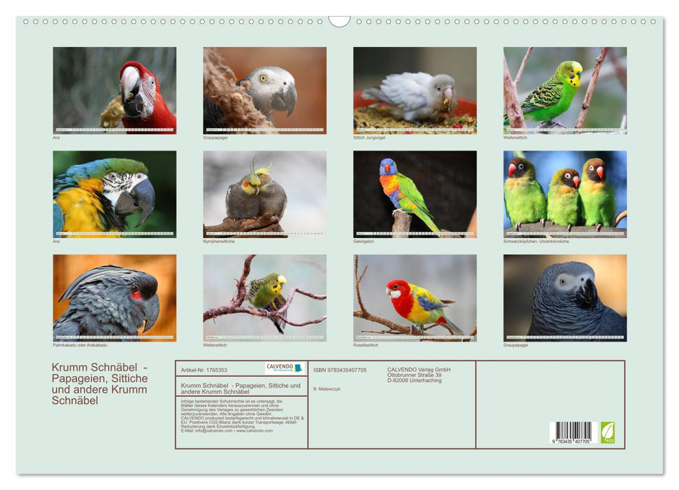 Krumm Schnäbel - Papageien, Sittiche und andere Krumm Schnäbel (CALVENDO Wandkalender 2025)