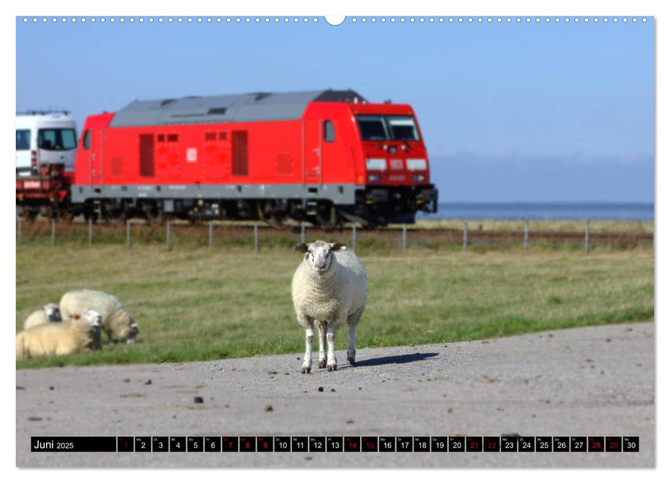 Die Marschbahn (CALVENDO Premium Wandkalender 2025)