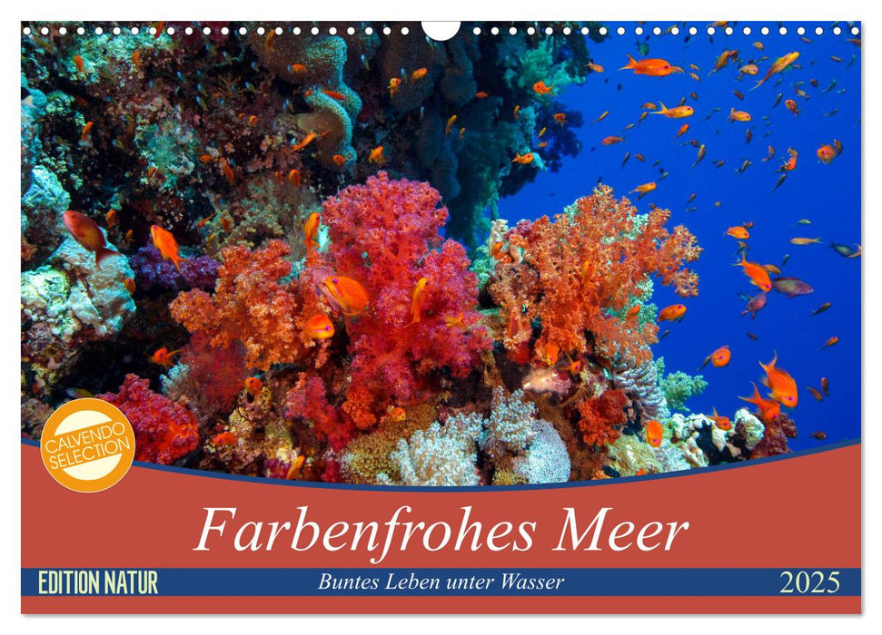 Farbenfrohes Meer (CALVENDO Wandkalender 2025)