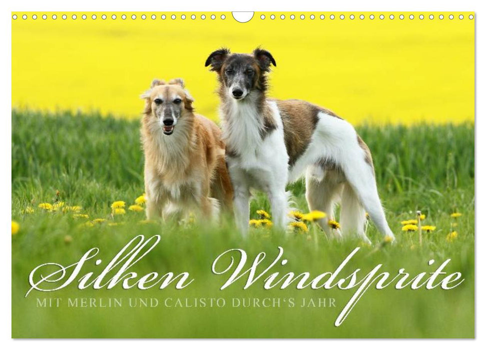 Silken Windsprite - Mit Merlin und Calisto durch´s Jahr 2025 (CALVENDO Wandkalender 2025)