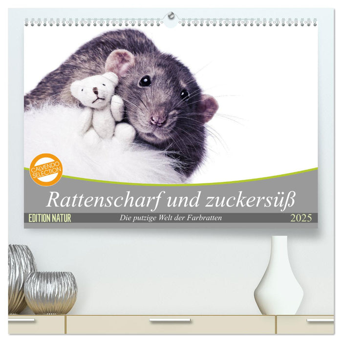 Rattenscharf und zuckersüß (CALVENDO Premium Wandkalender 2025)