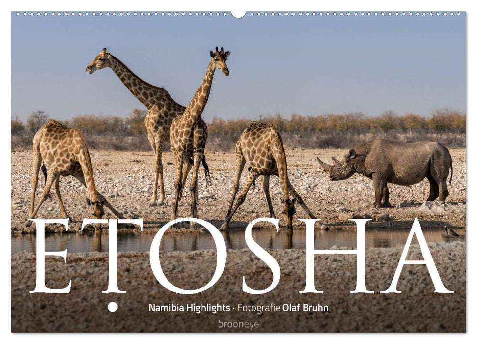 ETOSHA – Namibia Highlights (CALVENDO Wandkalender 2025)