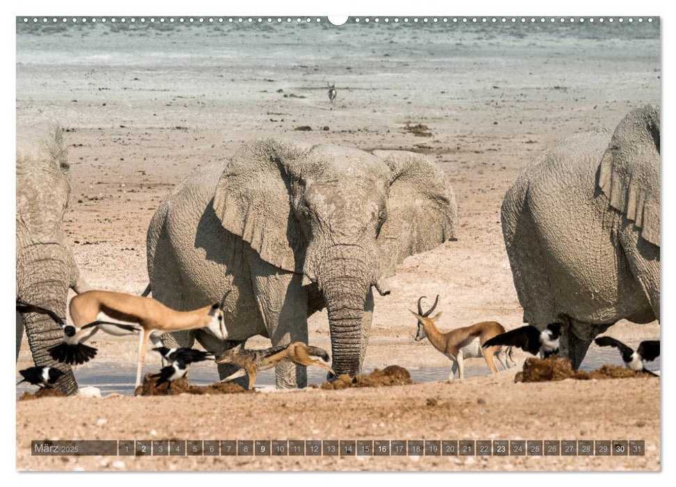 ETOSHA – Namibia Highlights (CALVENDO Wandkalender 2025)