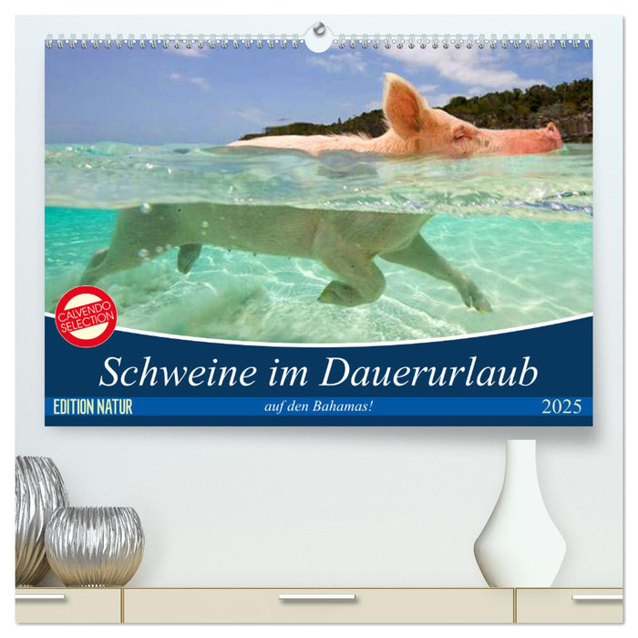 Schweine im Dauerurlaub auf den Bahamas! (CALVENDO Premium Wandkalender 2025)