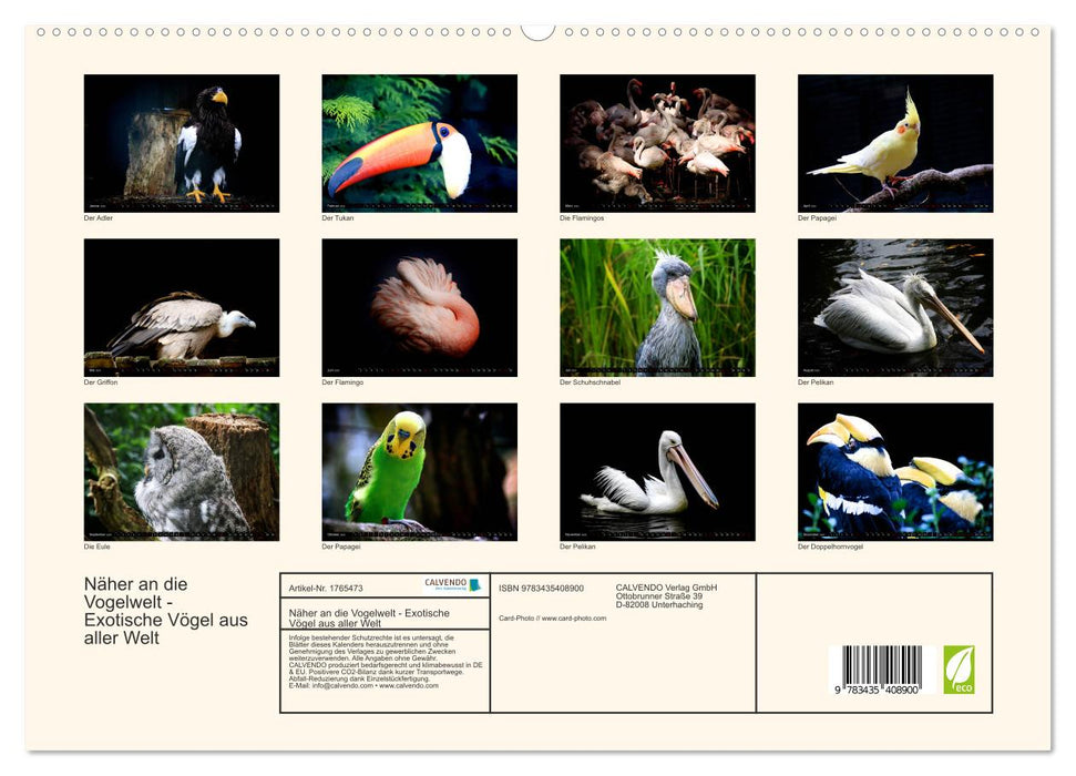 Näher an die Vogelwelt - Exotische Vögel aus aller Welt (CALVENDO Premium Wandkalender 2025)