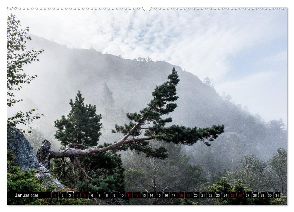 Norwegen - Unterwegs am Lysefjord (CALVENDO Wandkalender 2025)