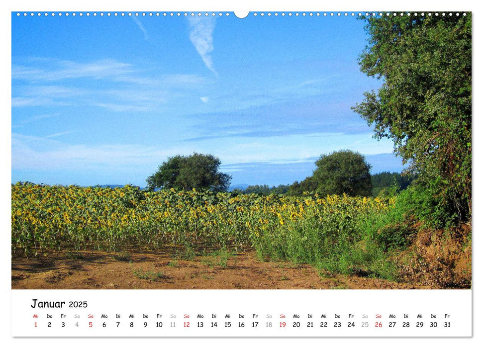 Jakobsweg - Camino Primitivo (CALVENDO Premium Wandkalender 2025)