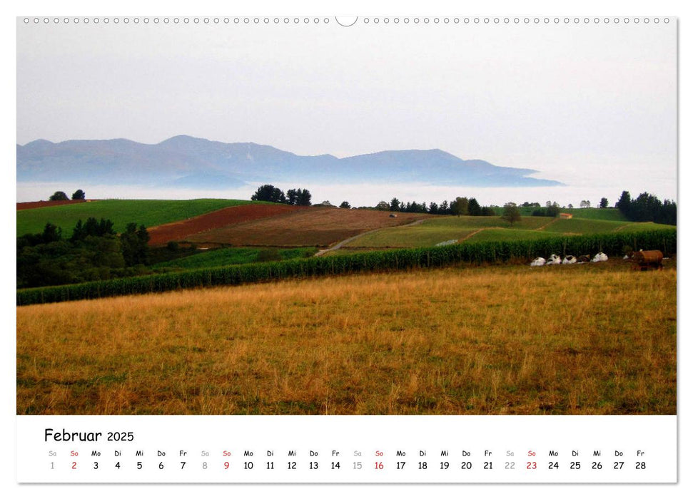 Jakobsweg - Camino Primitivo (CALVENDO Premium Wandkalender 2025)