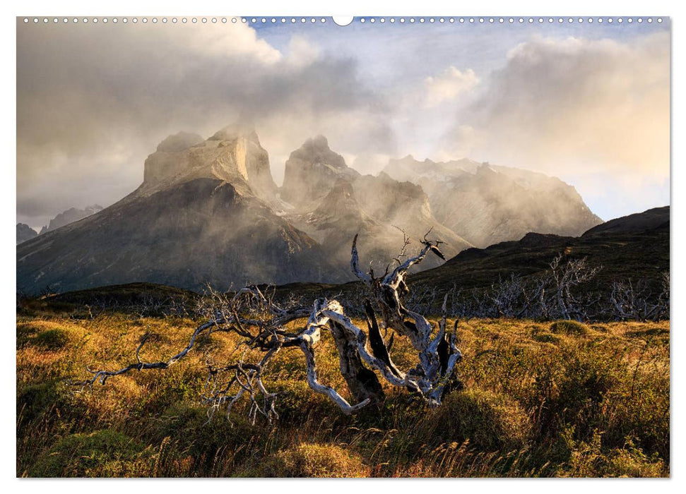 Patagonien: Einzigartige Landschaft am Ende der Welt (CALVENDO Premium Wandkalender 2025)