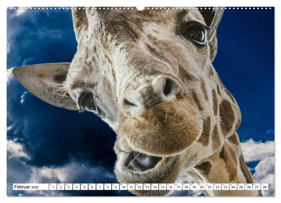 Lustige Tier-Selfies. Tierische Selbstportraits (CALVENDO Premium Wandkalender 2025)