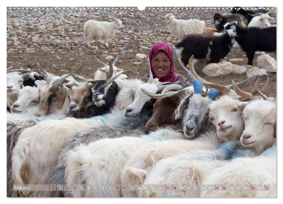 Ladakh im indischen Himalaja - Nomadenland Changthang - Bergweh ® (CALVENDO Premium Wandkalender 2025)