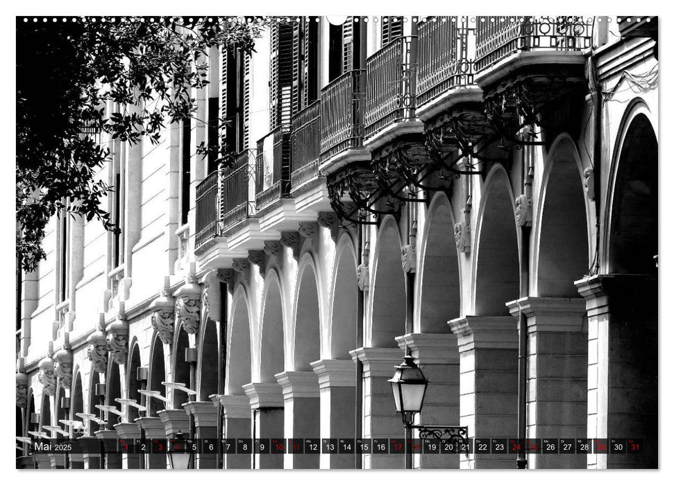 Mallorca monochrom (CALVENDO Premium Wandkalender 2025)