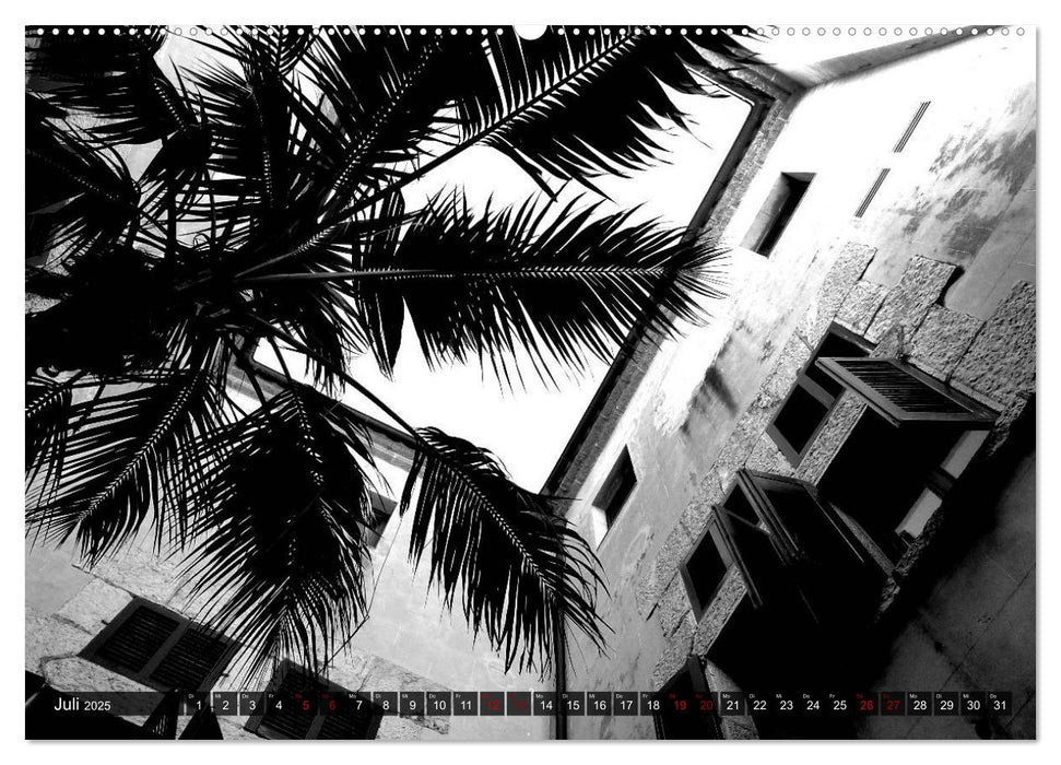 Mallorca monochrom (CALVENDO Premium Wandkalender 2025)