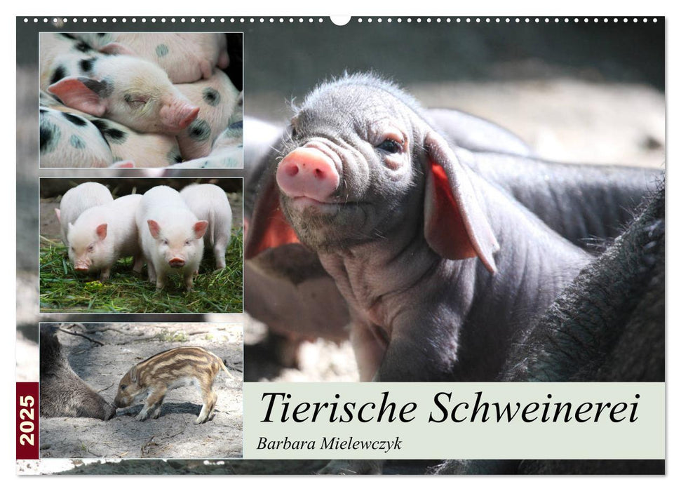 Tierische Schweinerei (CALVENDO Wandkalender 2025)