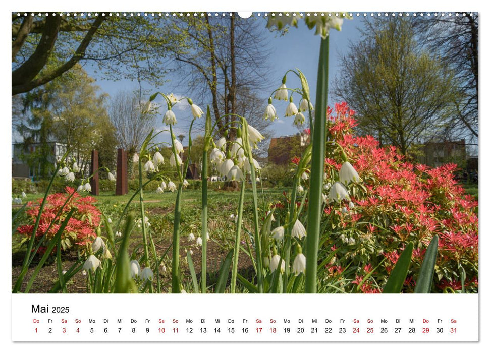 Buxtehude - Eine Perle in Niedersachsen (CALVENDO Premium Wandkalender 2025)