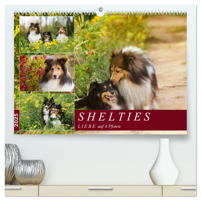 SHELTIES Liebe auf 4 Pfoten (CALVENDO Premium Wandkalender 2025)