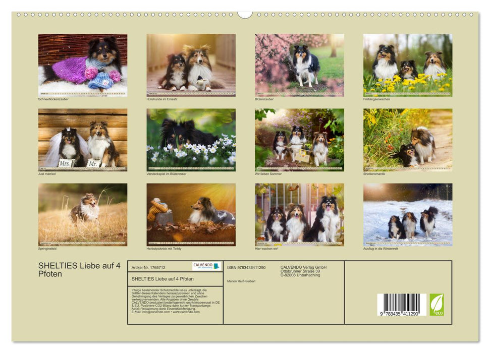 SHELTIES Liebe auf 4 Pfoten (CALVENDO Premium Wandkalender 2025)