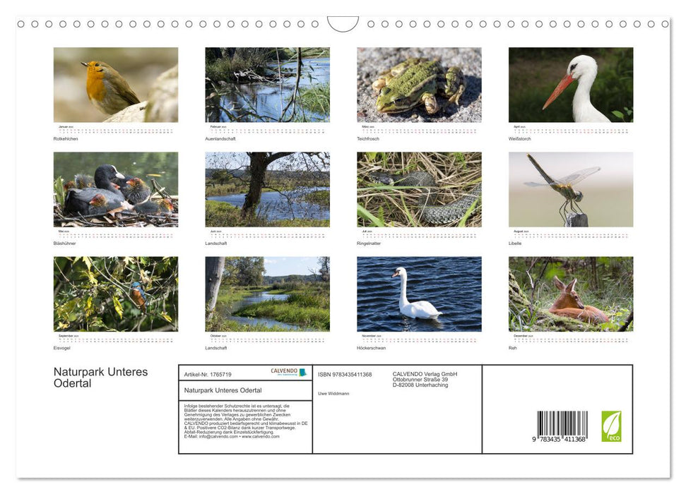 Naturpark Unteres Odertal (CALVENDO Wandkalender 2025)