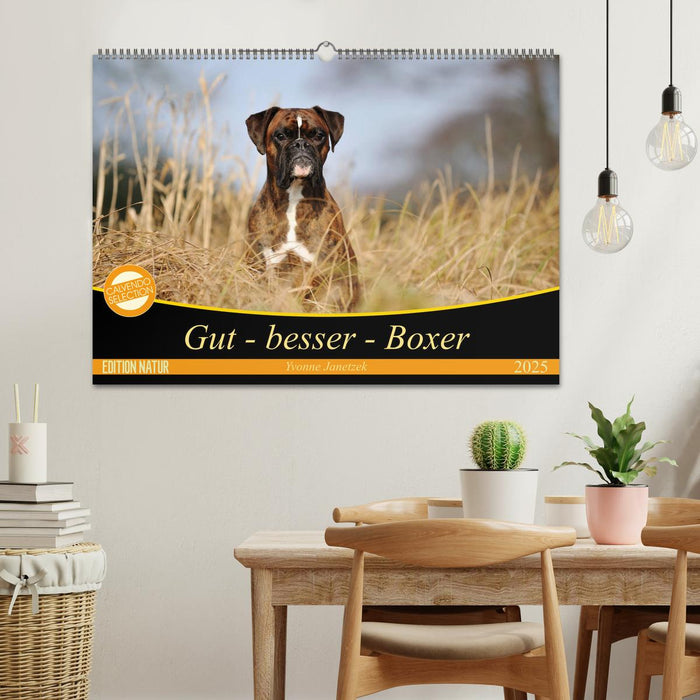 Gut - besser - Boxer (CALVENDO Wandkalender 2025)