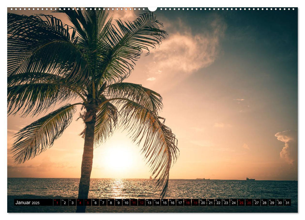 Florida. Der Sonne entgegen. (CALVENDO Premium Wandkalender 2025)