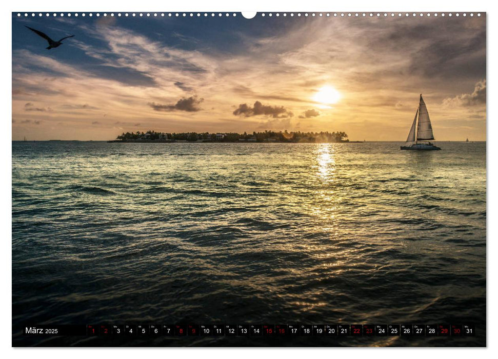 Florida. Der Sonne entgegen. (CALVENDO Premium Wandkalender 2025)