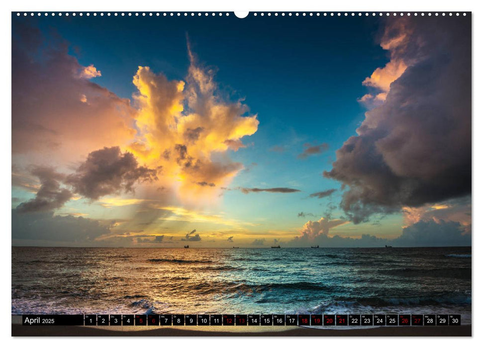 Florida. Der Sonne entgegen. (CALVENDO Premium Wandkalender 2025)