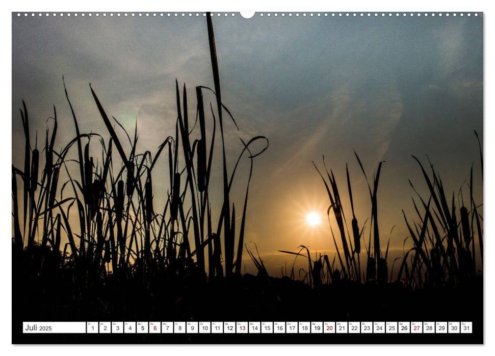 Osterholz-Scharmbeck, Natur-Impressionen aus dem Teufelsmoor (CALVENDO Premium Wandkalender 2025)