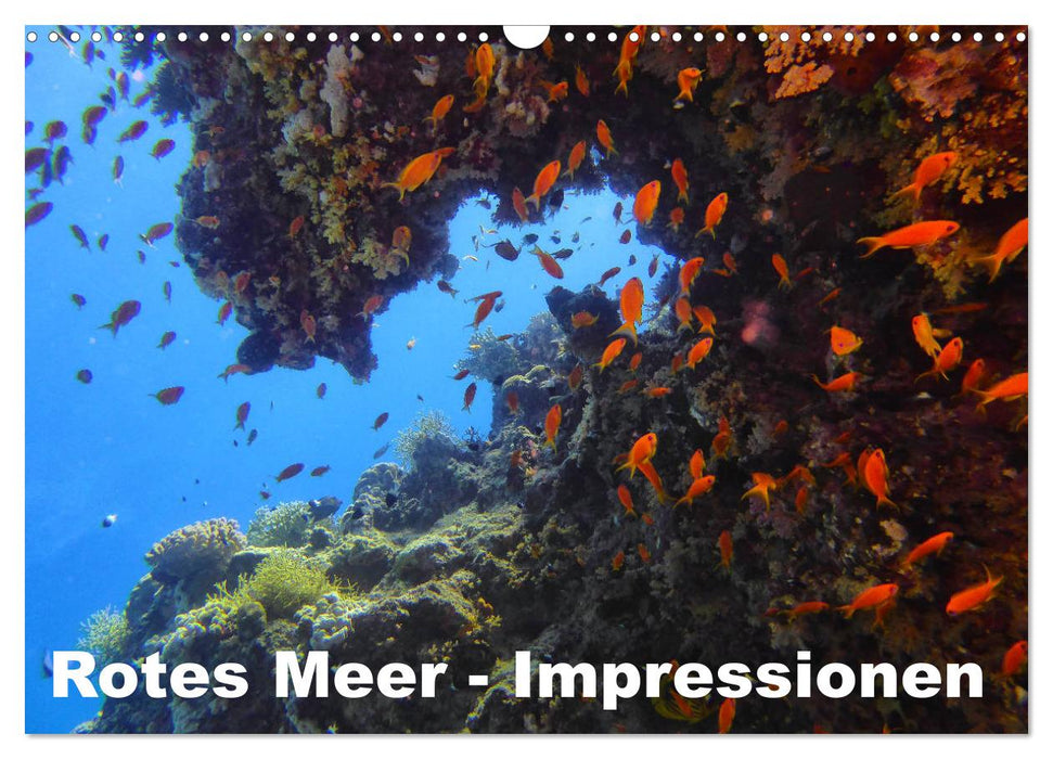 Rotes Meer - Impressionen (CALVENDO Wandkalender 2025)