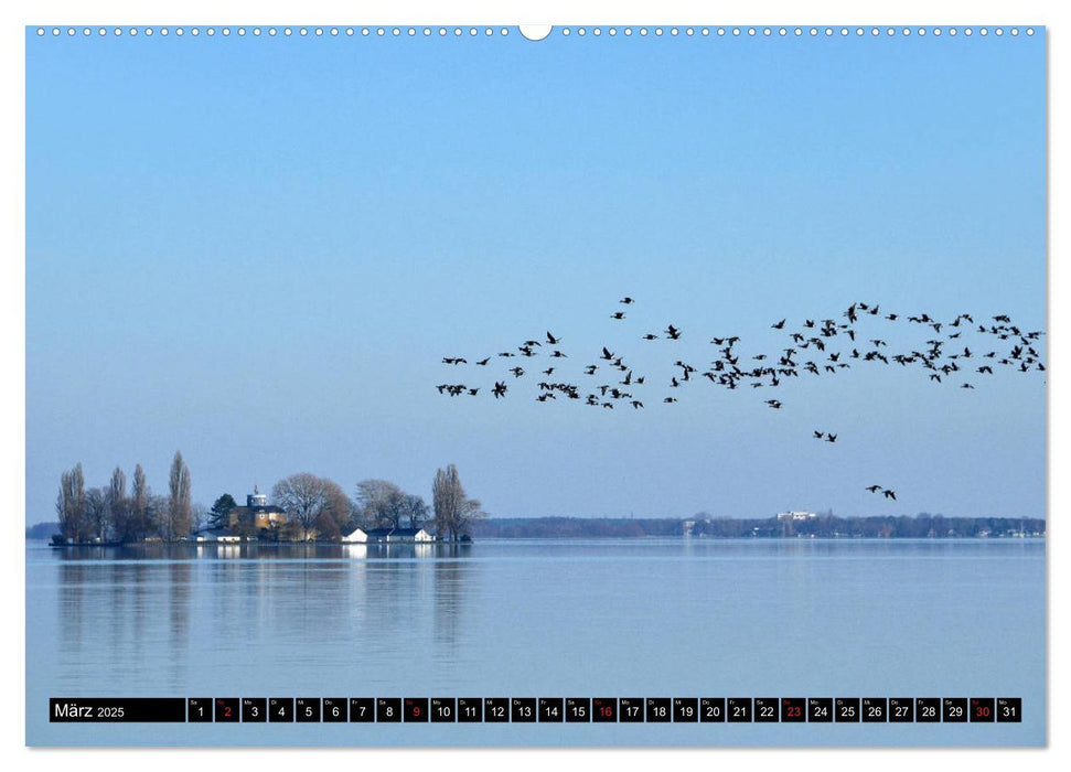 Steinhuder Meer, Momentaufnahmen von Christine Bienert (CALVENDO Premium Wandkalender 2025)