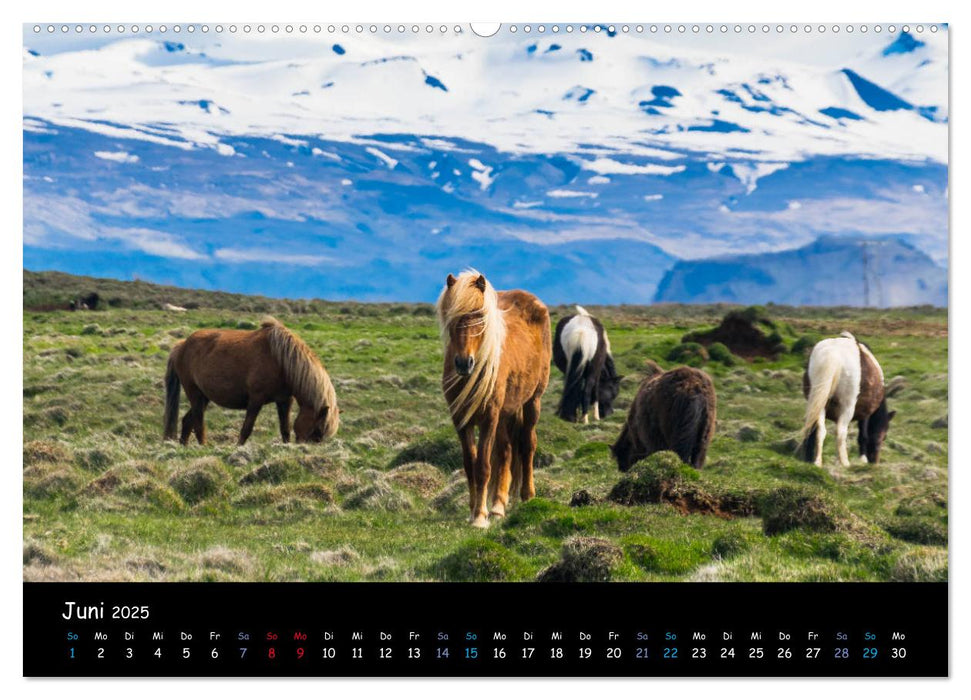 Inseln Des Nordens (CALVENDO Premium Wandkalender 2025)