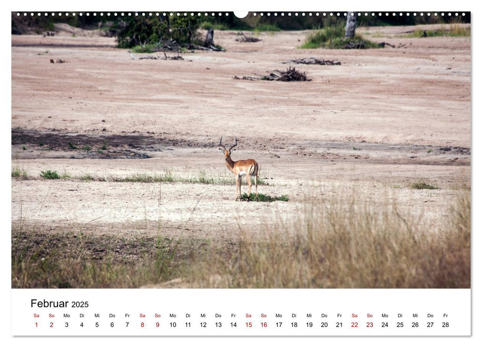 Sambia und der Sambesi (CALVENDO Premium Wandkalender 2025)