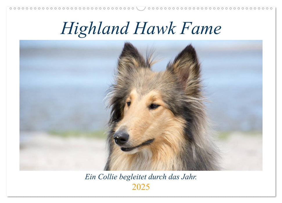 Highland Hawk Fame - Ein Collie begleitet durch das Jahr (CALVENDO Wandkalender 2025)