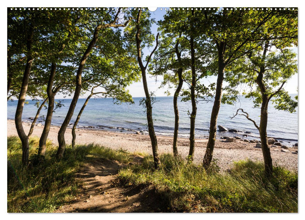 Insel Fehmarn - Impressionen eines Sommertages an der Ostsee (CALVENDO Premium Wandkalender 2025)