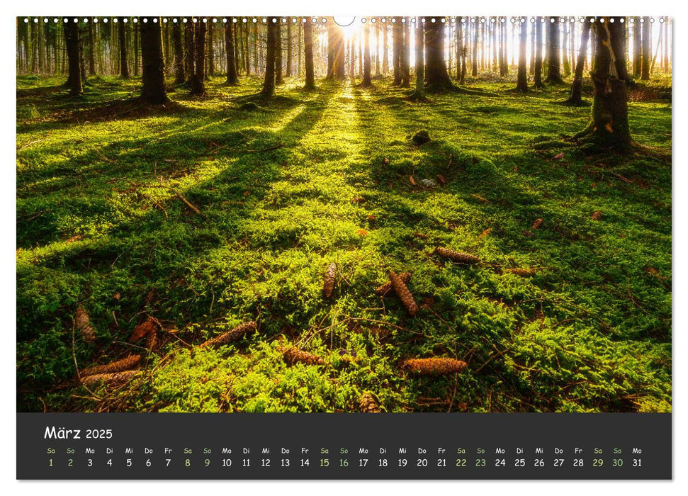 Ammersee bis Walchensee - Traumlandschaften im Voralpenland (CALVENDO Premium Wandkalender 2025)