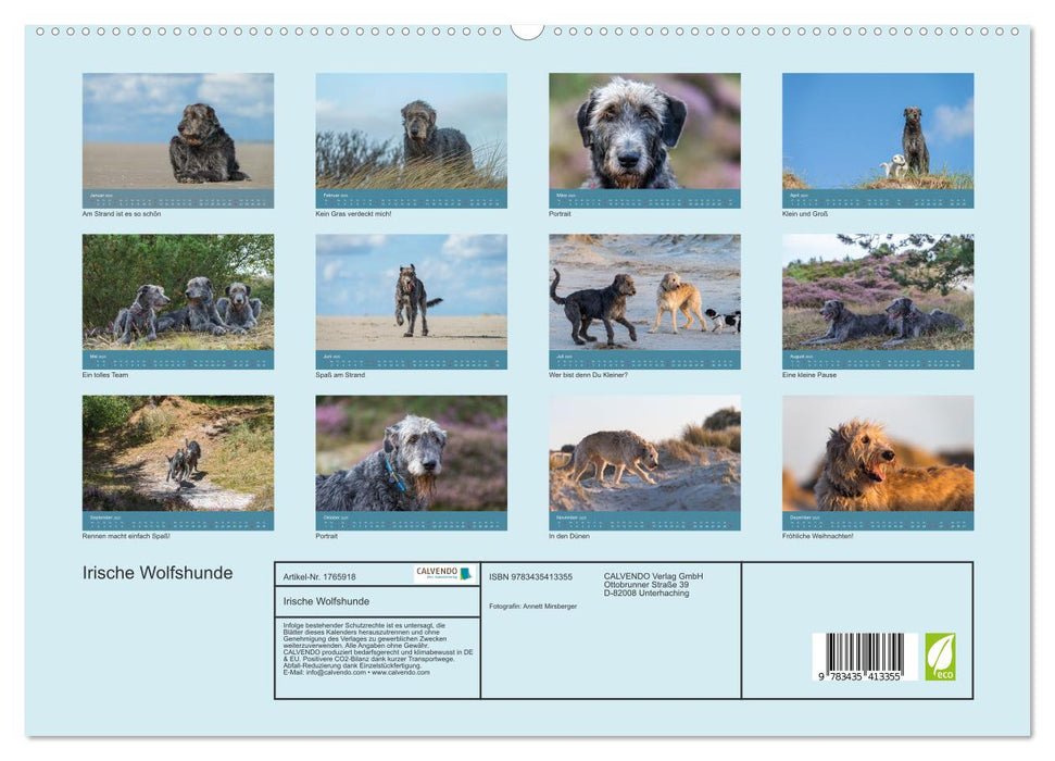 Irische Wolfshunde (CALVENDO Premium Wandkalender 2025)