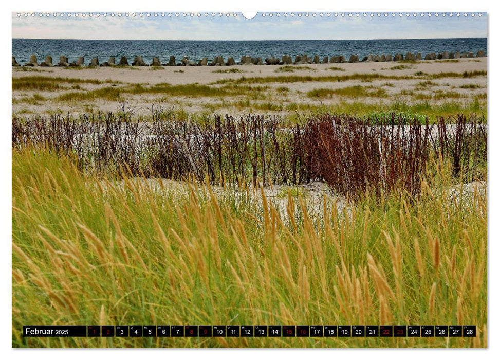 Sylt - natürlich (CALVENDO Premium Wandkalender 2025)