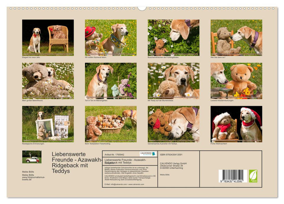 Liebenswerte Freunde - Azawakh-Ridgeback mit Teddys (CALVENDO Premium Wandkalender 2025)