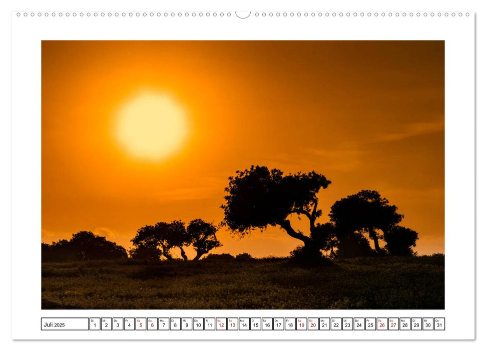 Sonniges Sizilien (CALVENDO Premium Wandkalender 2025)